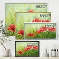thumbnail image 4 of Designart 'Red Blossoming Poppies Over Wild Green III' Traditional Framed Canvas Wall Art Print, 4 of 5