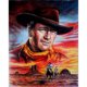 thumbnail image 5 of Hilo de bordar de algodón completo, estampado 11CT, punto de cruz John Wayne Cowboy, 40x50cm, 5 of 9