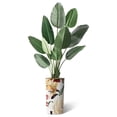 thumbnail image 2 of Artificial Tree of Paradise, 67" Silk Plant, Modern Planter, Indoor Outdoor Home Decor, 2 of 5
