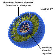 Research Labs Liposomal Vitamin C Supplement w/Enhanced Absorption LipoQuil-C™ | 2 Fer 1 ad 240 Capsules Total Immune Support Collagen Booster | High Dose Fat Soluble Vita C 1000mg Buffered | Non GMO