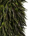 thumbnail image 3 of Vickerman 42-46" Basil Cierus Stem. Includes 3 Stems per Pack, Dried, 3 of 5