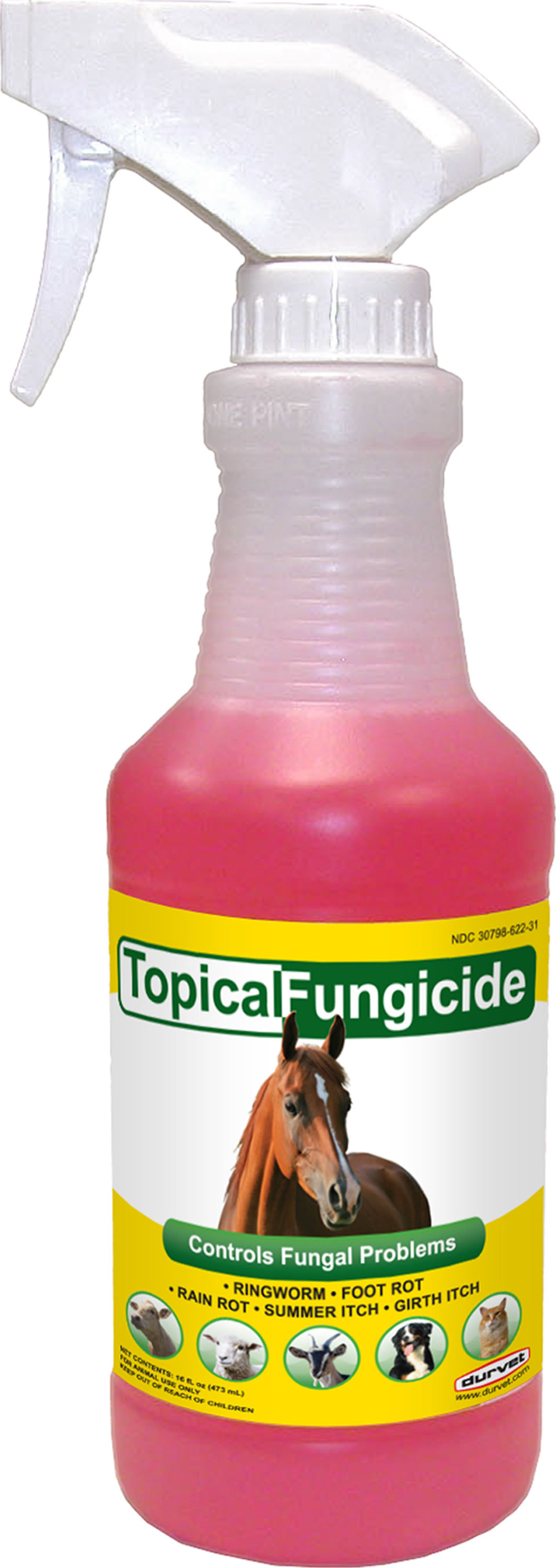 Durvet Topical Fungicide 32 fl oz