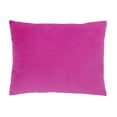 thumbnail image 3 of Disney Raya and the Last Dragon Mythic Pop Decorative Pillow, 12" x 15", Purple, Toddler Girl Pillow, 3 of 4