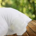 thumbnail image 5 of 4 Packs 18"x18" Premium White Throw Pillow Insert Hypoallergenic, 5 of 5