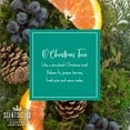 thumbnail image 6 of ScentSicles Scented Ornaments, O Christmas Tree Fresh Cut Christmas Tree Scent, 6 Ornaments & Hooks, 6 of 9