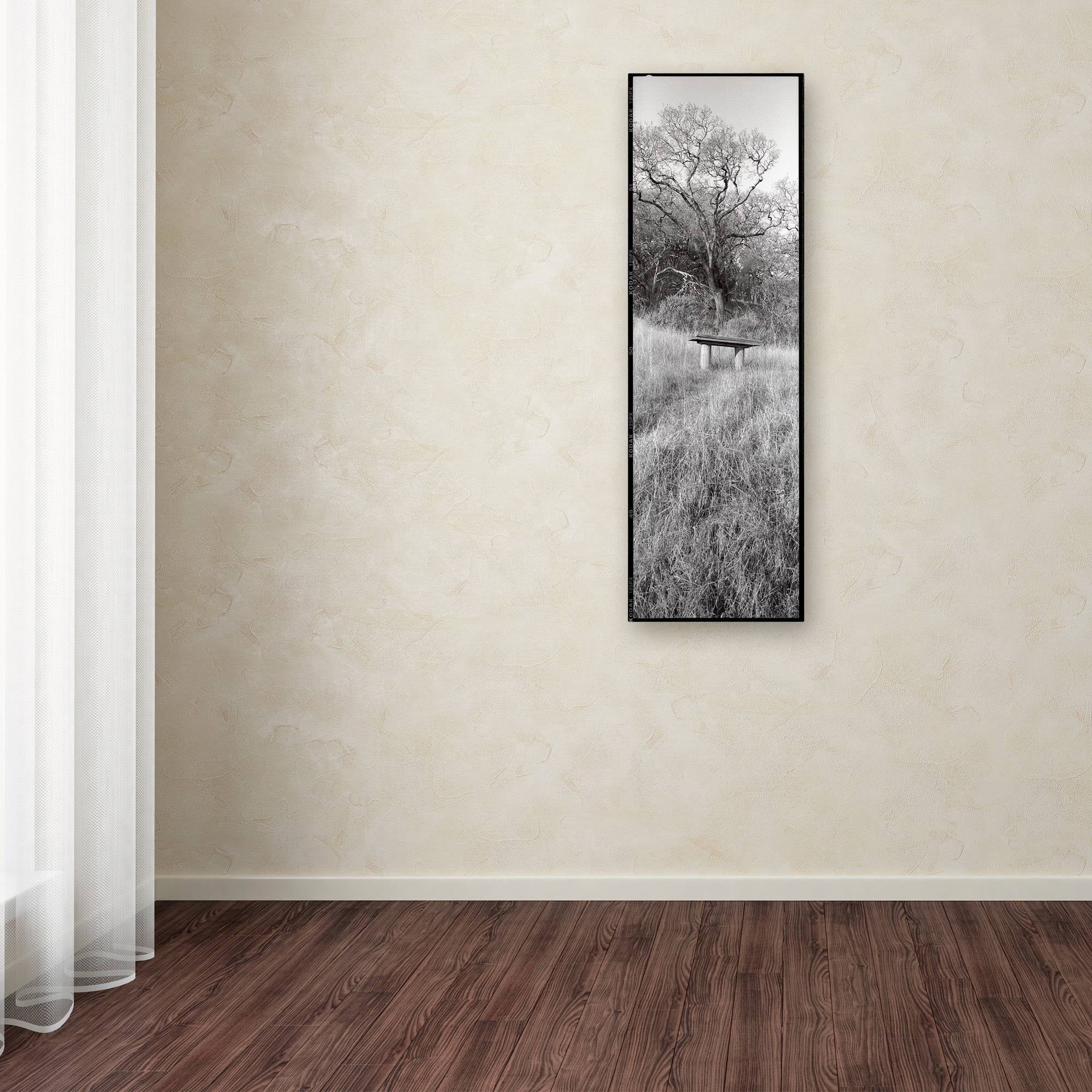 Trademark Fine Art "Novato Oak" Canvas Art by Alan Blaustein