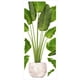 thumbnail image 2 of 1 juego de adhesivos de pared para plantas en maceta, ideales para sala de estar o bonsáis. Adhesivos de pared vívidos para interiores., 2 of 7