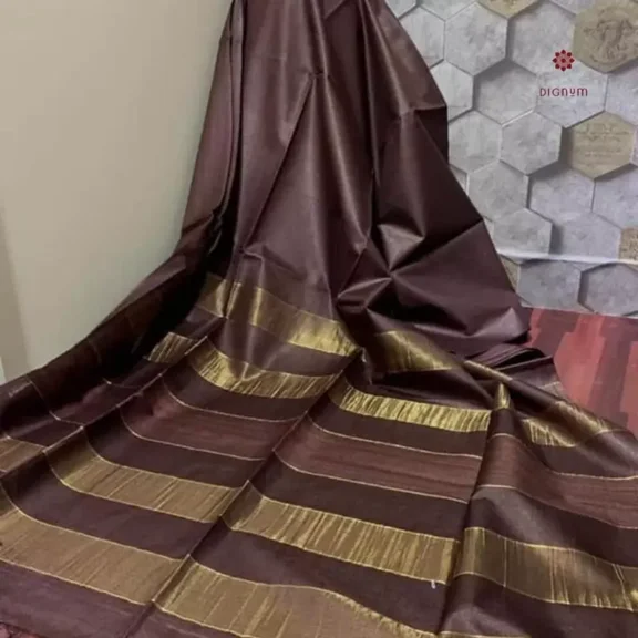 Umber Brown Pure Tussar by Ghicha Staple Saree
