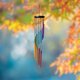 thumbnail image 4 of Decoración hogareña Gwong Chimes de viento de Gwong Atraparse a prueba de óxido Metal Espiral Colgante Windchime Suministros para oficina Gwong 21068574, 4 of 6