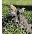 thumbnail image 2 of Adjustable Lizard Leash Bearded Dragon Harness Cool Leather Wings Best Gift, 2 of 5