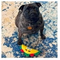 thumbnail image 4 of Soft Taco Dog Toys Fun interactive Squeaker Small to Medium Dogs Choose Quantity (2 Taco Toys), 4 of 6