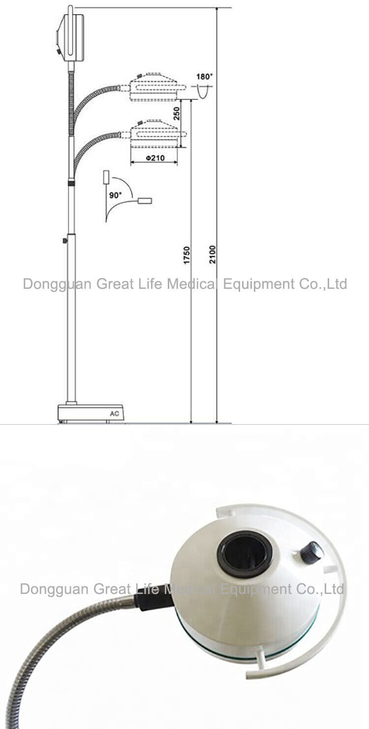 GreatLife Dent USA Stock 36W 12Led Mobile Examination Light Shadowless Surgical Medical Lamp Operating FDA
