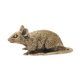 thumbnail image 4 of Ouse artesanía feng shui adorno adorno de rata estatua animal escultura de animales diminy tapet colección regalo para el gabinete de oficina hogar, 4 of 8