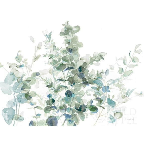 Eucalyptus I Cool Poster Print by Danhui Nai (36 x 24)