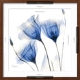 thumbnail image 5 of Art.com Deep Indigo Harvest 1 Art Print by Albert Koetsier, Brown Frame Wall Art, 21" x 21", 5 of 5