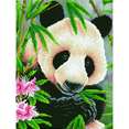 thumbnail image 5 of Diamond Dotz Panda Prince Diamond Painting Kits for Adults - Diamond Art Kits a Relaxing Creative Craft Kit with Dotz Gems 15.7x11.8, 5 of 6