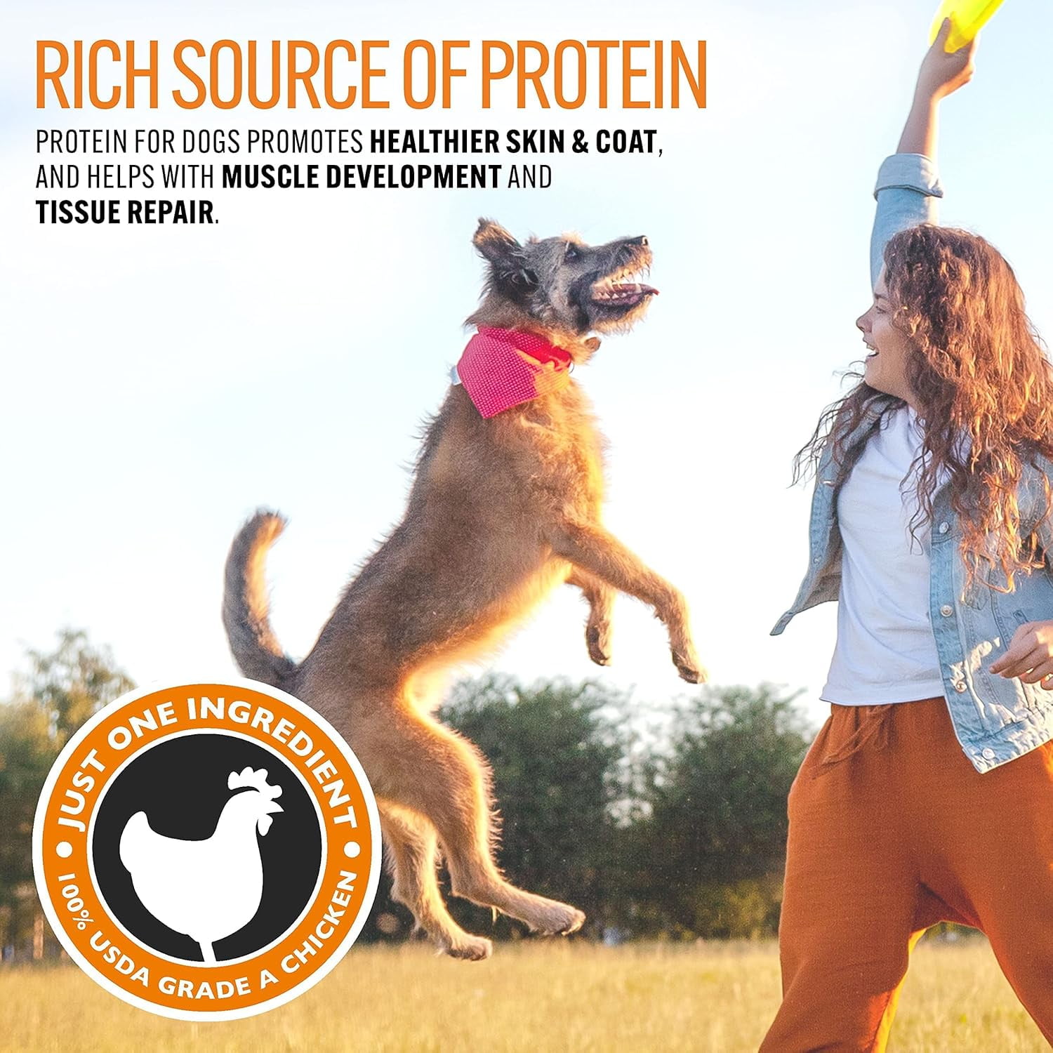 EBPP Chicken Jerky Strips Dog Training Treats, 8 oz