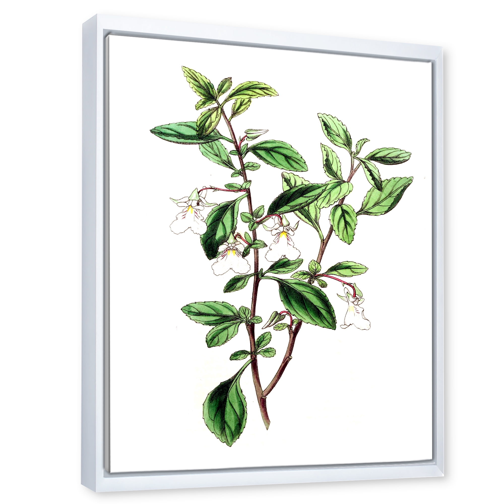 Designart 'Ancient Green Leaves Plants VII' Traditional Framed Canvas Wall Art Print