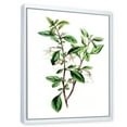 thumbnail image 3 of Designart 'Ancient Green Leaves Plants VII' Traditional Framed Canvas Wall Art Print, 3 of 5