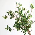 thumbnail image 5 of 3 piezas 34 '' Ramas verdes de eucalipto artificial Ramas de Ficus artificiales Aerosol de hojas Ramas de eucalipto de imitación Banyan Ficus Twig Plants para boda en casa, 5 of 5
