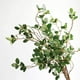 thumbnail image 5 of 3 piezas 34 '' Ramas verdes de eucalipto artificial Ramas de Ficus artificiales Aerosol de hojas Ramas de eucalipto de imitación Banyan Ficus Twig Plants para boda en casa, 5 of 5