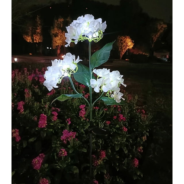 Luz solar Hortensia C - Luces alimentadas por energía solar