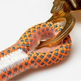 thumbnail image 4 of ziyahi 6KN Outdoor Climbing Mountaineering Rope Rope Grab Rock Grab Lock for Rope Up to 32mm, 4 of 9