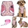 thumbnail image 2 of Dog Harness Large for Small Dogs Without Pull with Leash Adjustable Clip Comfortable and Secure Buckles, 2 of 7