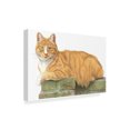 thumbnail image 2 of Trademark Fine Art 'Orange Cat On Perch' Canvas Art by Francien Van Westering, 2 of 3