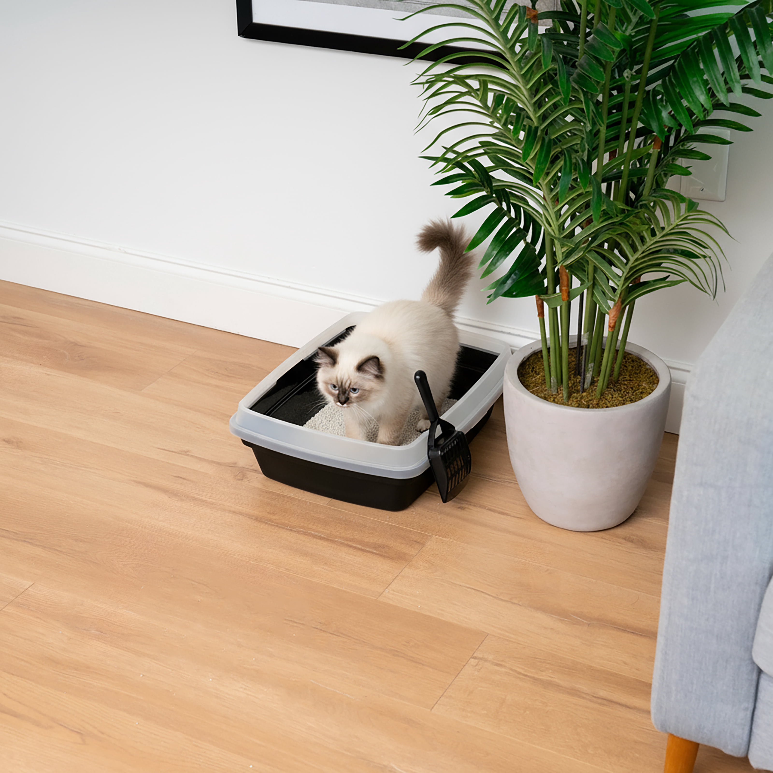 'IRIS Open Top Cat Litter Box with Scoop, Plastic Pan , Black