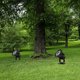 thumbnail image 5 of Foco de paisaje de 7W LED de aluminio IP65 impermeable para exteriores árbol de jardín 12V luz cálida/blanca cálida, 5 of 5