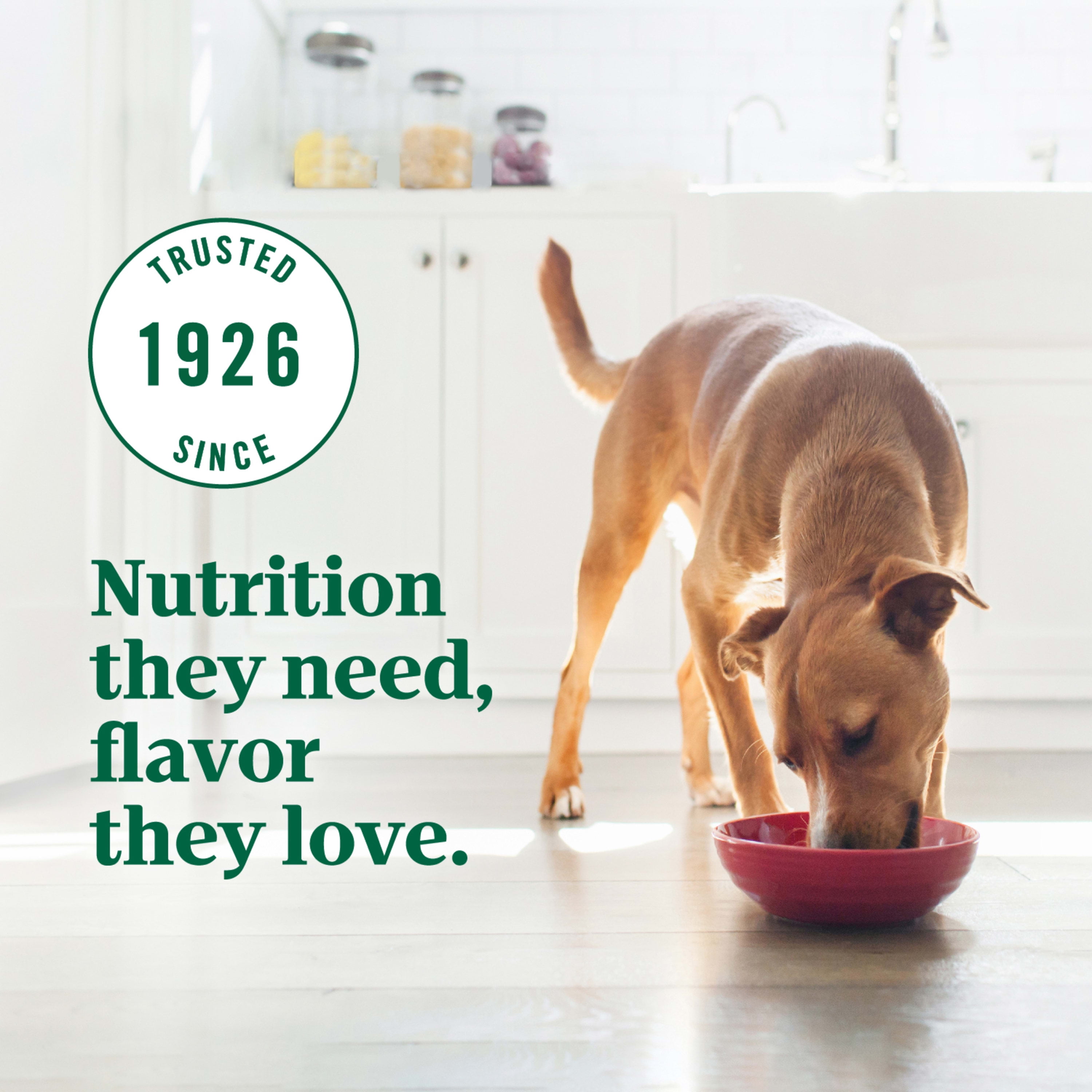 Nutro ultra dog food wet hot sale