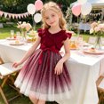 thumbnail image 2 of FYDUU Toddler Girl Tulle Dress Gradient Color Princess Tulle Dresses Ruffle Sleeveless Birthday Party Sundress Fashion Casual Dresses 2-3 Years, 2 of 9