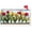 Tulip Flower, variant on USA Patriotic Pansies Floral Watermelon Mailbox Cover with Magnetic Strip Summer Cardinal Mailbox Wraps Post Letter Box Cover Standard Size 21" X 18" for Garden Outdoor Yard Decor