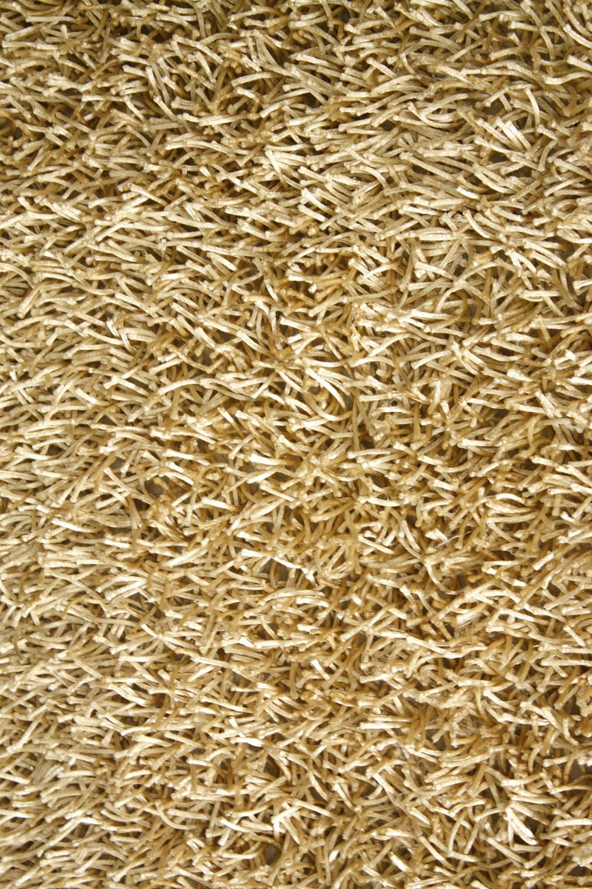 Noble House Sara Collection Rug in Gold (4x6)