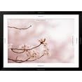 thumbnail image 5 of Art.com Spring Cherry Blossoms in Soft Spring Light Art Print by landio, Black Frame Wall Art, 44" x 32", 5 of 5