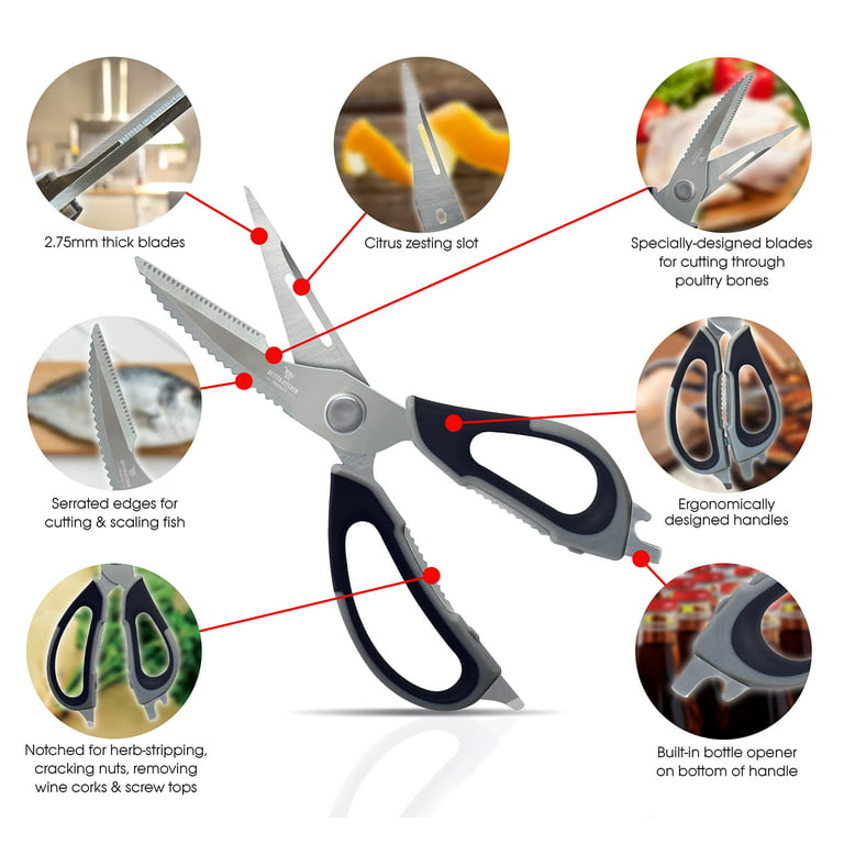 9 Premium Kitchen Shears with Detachable Blades by Better Kitchen  Products, Stainless Steel, All Purpose Come Apart Utility Scissors, Heavy  Duty Kitchen Scissors, Meat Scissors, Poultry Shears 