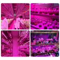 thumbnail image 4 of 5X LED Grow Light Full Spectrum 5V USB Grow Light Strip 2835 LED Phyto Lamps 100cm, 4 of 8