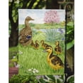 thumbnail image 3 of Carolines Treasures ASA2105GF Female Mallard Duck and Ducklings Flag Garden Size  Small multicolor, 3 of 3