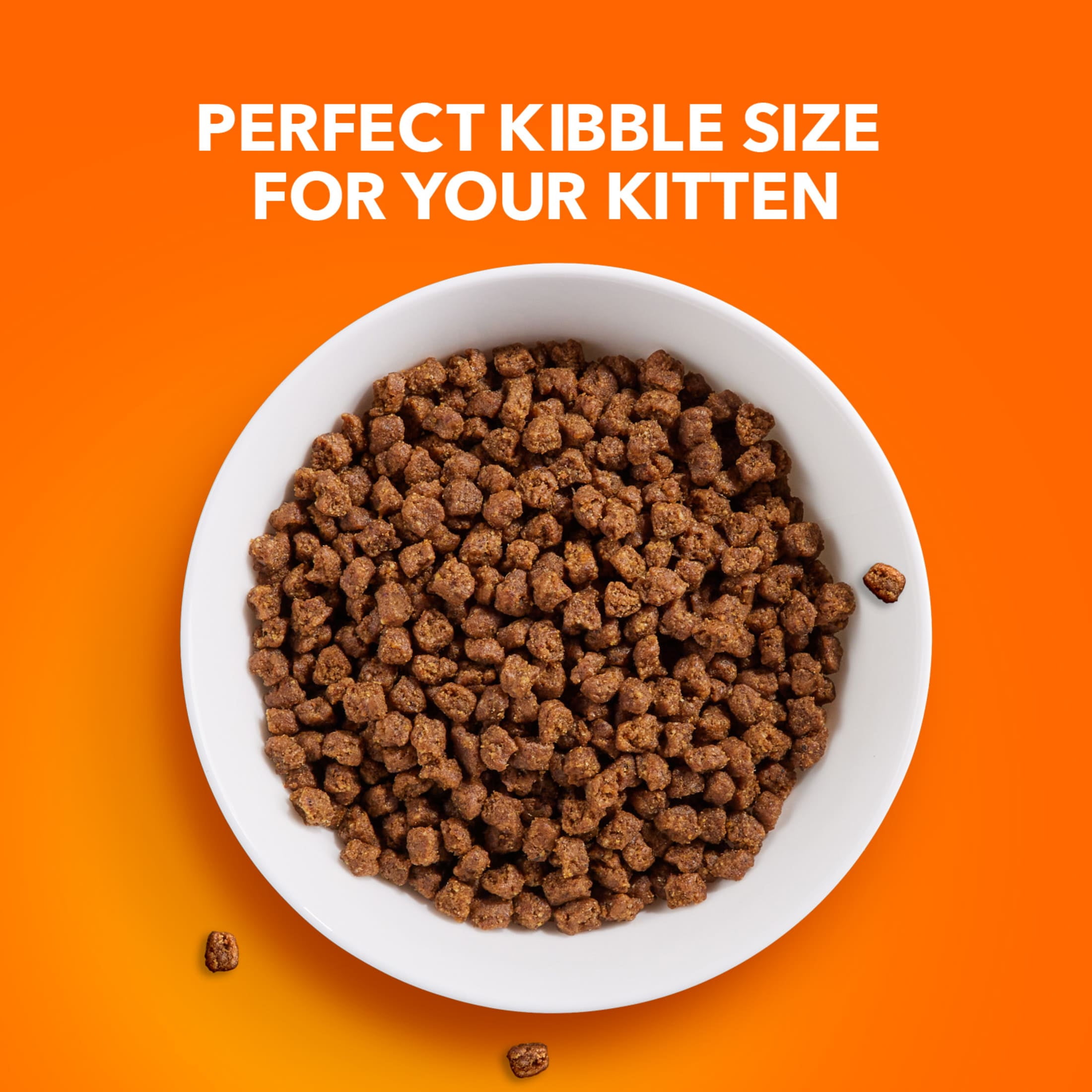 Iams Proactive Health Chicken Dry Cat Food For Kittens, 16 Lb Bag