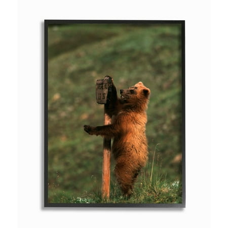 The Stupell Home Decor Collection Grizzly Bear Cub Scratching Park Sign Framed Giclee Texturized Art