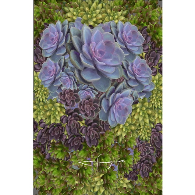 cuadro decorativo suculentas fragoso lienzo by suma 1 pieza 40 X 60 CM