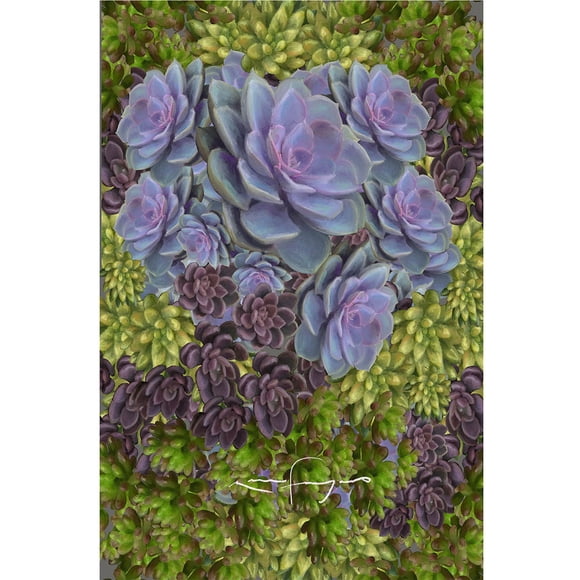 cuadro decorativo suculentas fragoso lienzo by suma 1 pieza 40 X 60 CM
