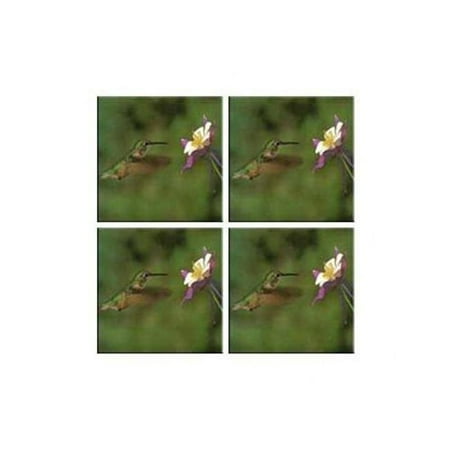 

McGowan Tuftop Hummingbird and Columbine Coasters Set of 4