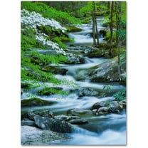 Trademark Fine Art "Flowering Dogwood" Canvas Art by Michael Blanchette Photography