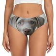 thumbnail image 1 of Balery Adorable Puppy Portrait Ropa Interior de Algodón para Mujer con Dibujo – Braguitas Cómodas y Elásticas, Estilo Clásico-Small, 1 of 6