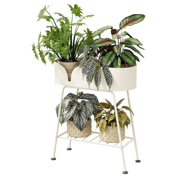 Bamworld 2 Tier Metal Plant Stand, Large Capacity Elevated Plant Shelf, Modern Plant Display Indoor Outdoor for Living Room, Patio, Balcony (Beige)
