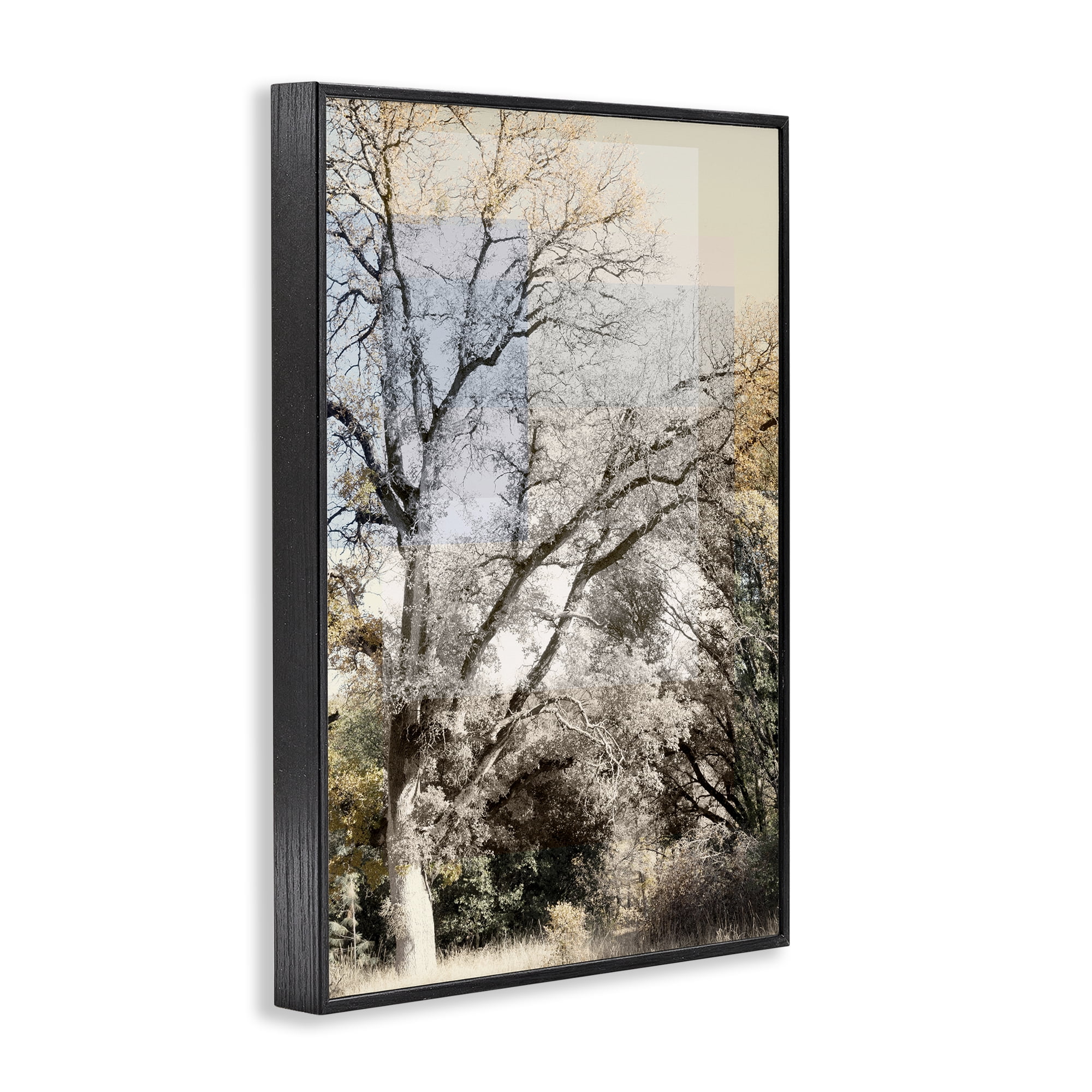 Stupell Industries Tree Collage Layers Black Framed Giclee Art, design by Gemma Bardot