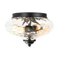 thumbnail image 4 of Rennnsan 2-Light Modern Farmhouse Dome Clear Water Rippled Glass Bubble Flush Mount Ceiling Light, 4 of 5