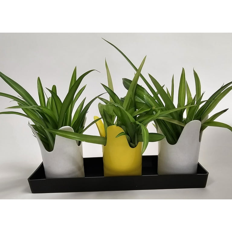 Austin Planter Rectangular Plant Saucer ( 3.25" x 11.5" ) Purple Colored (5  Pack )-Polypropylene-Indoor/Outdoor- Made in USA - Walmart.com